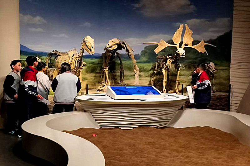 江苏省南京市高淳区固城中学赴江宁汤山博物馆开展研学之旅实践活动(2).jpg