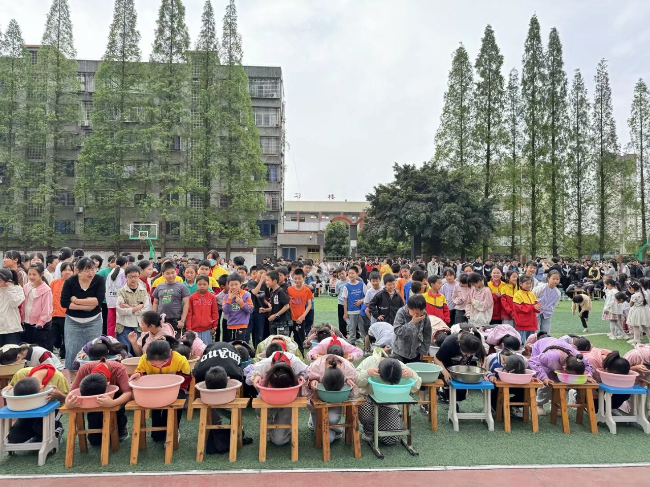 1744891840454826.jpg 微信图片_20250417200531.jpg