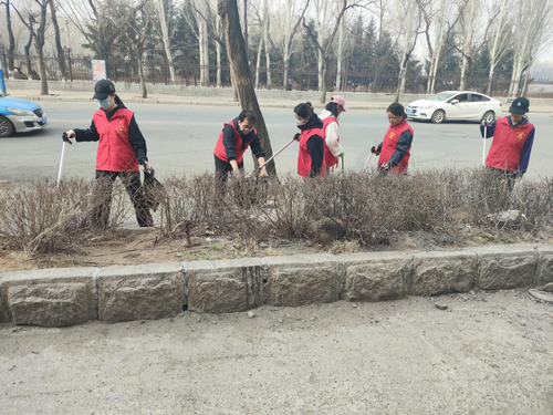 志愿服务活动1_副本.png