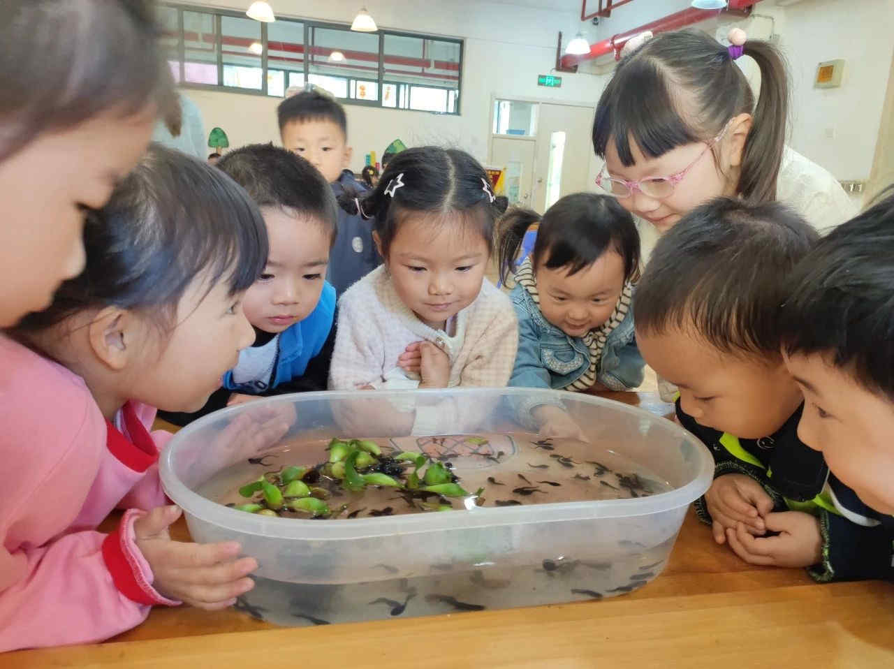 1745893316768431.jpg 图3_副本.jpg
