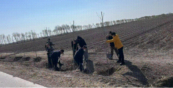1745912052638175.gif image002.gif
