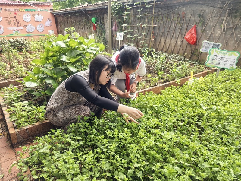 1746754906763974.jpg 微信图片_20250509093306.jpg