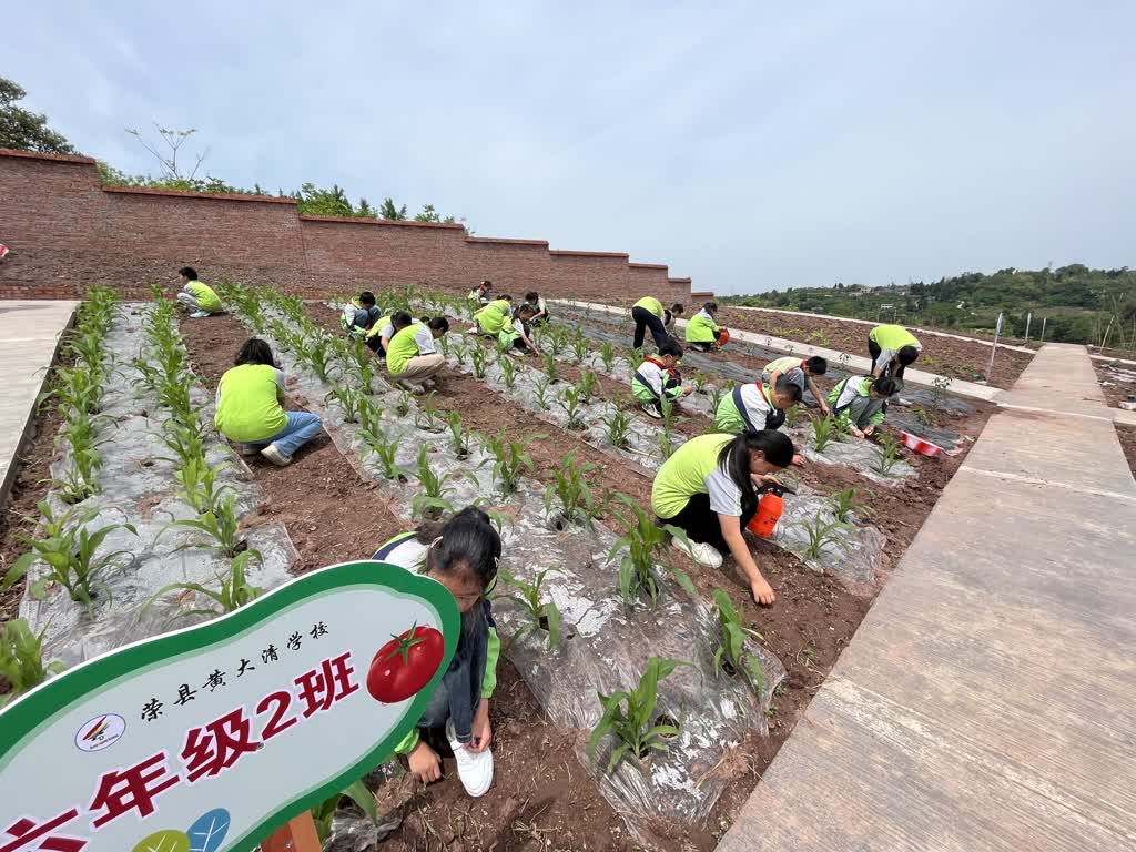 1746849646538201.png 图片1.png