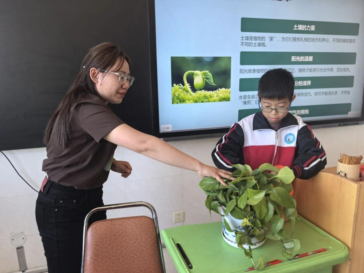 1746877137996332.png 图片6.png