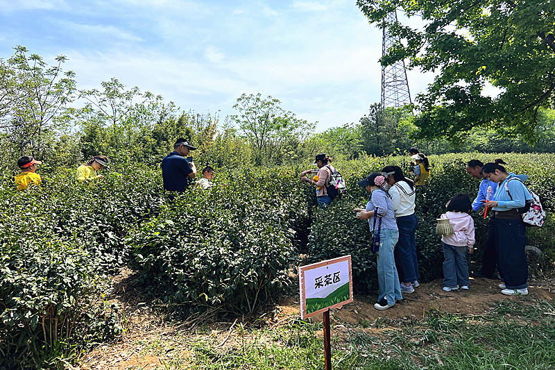 1746941261341055.jpg 江苏省南京市栖霞区龙潭街道龙潭街社区开展劳动实践促成长活动(2).jpg
