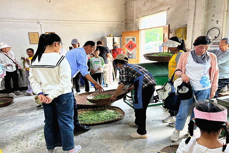 1746941272337770.jpg 江苏省南京市栖霞区龙潭街道龙潭街社区开展劳动实践促成长活动(3).jpg