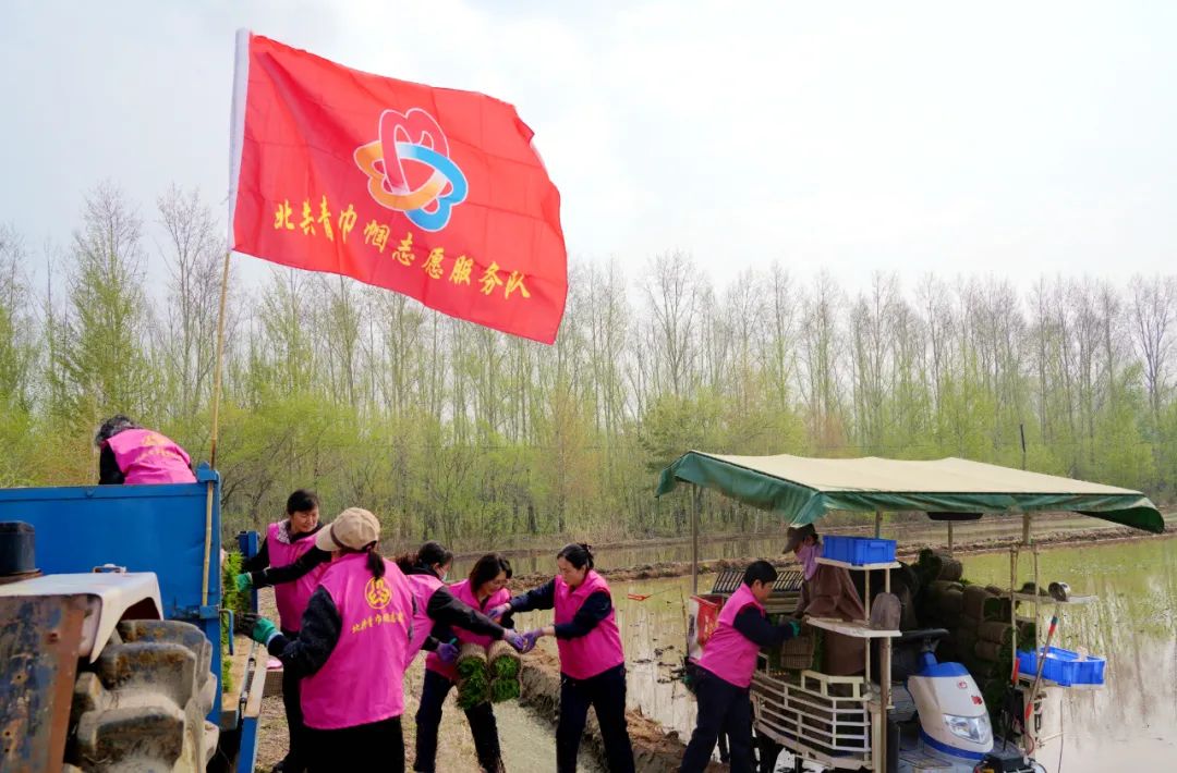 1747202429353134.jpg 共青1.jpg