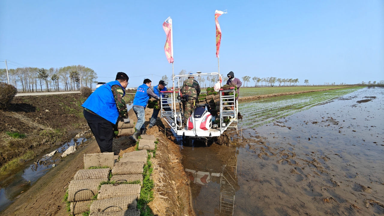 1747202642773999.jpg 梧桐河2.jpg