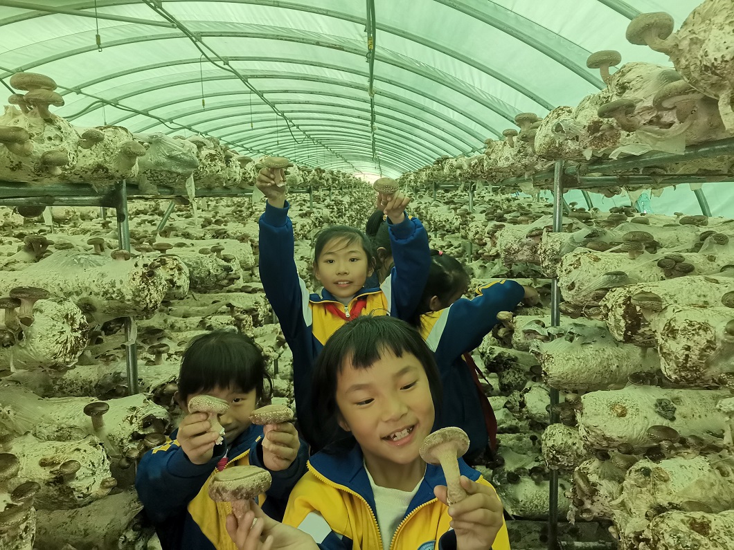 1747623156576687.jpg 牜毛坞小学2 (2).jpg