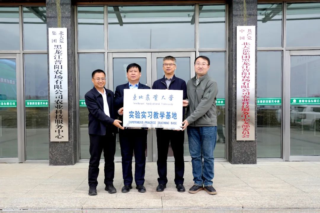 1747807075515822.jpg 普阳3.jpg