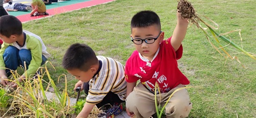 1747980963242328.jpg 66d9c5c79a3e03b849b0cf97f9b9ea68_看图王.jpg