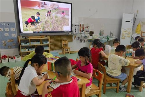 1747981012554948.jpg 54dbfb14cc958d259d8f06ccab850c7c_看图王.jpg