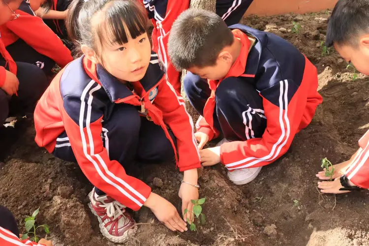 1748048060570355.png 图片3.png