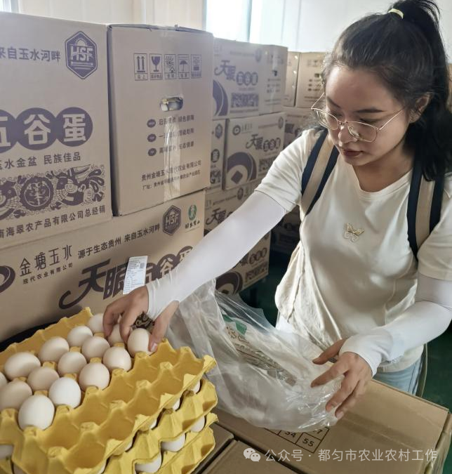 微信图片_20250606183723.png