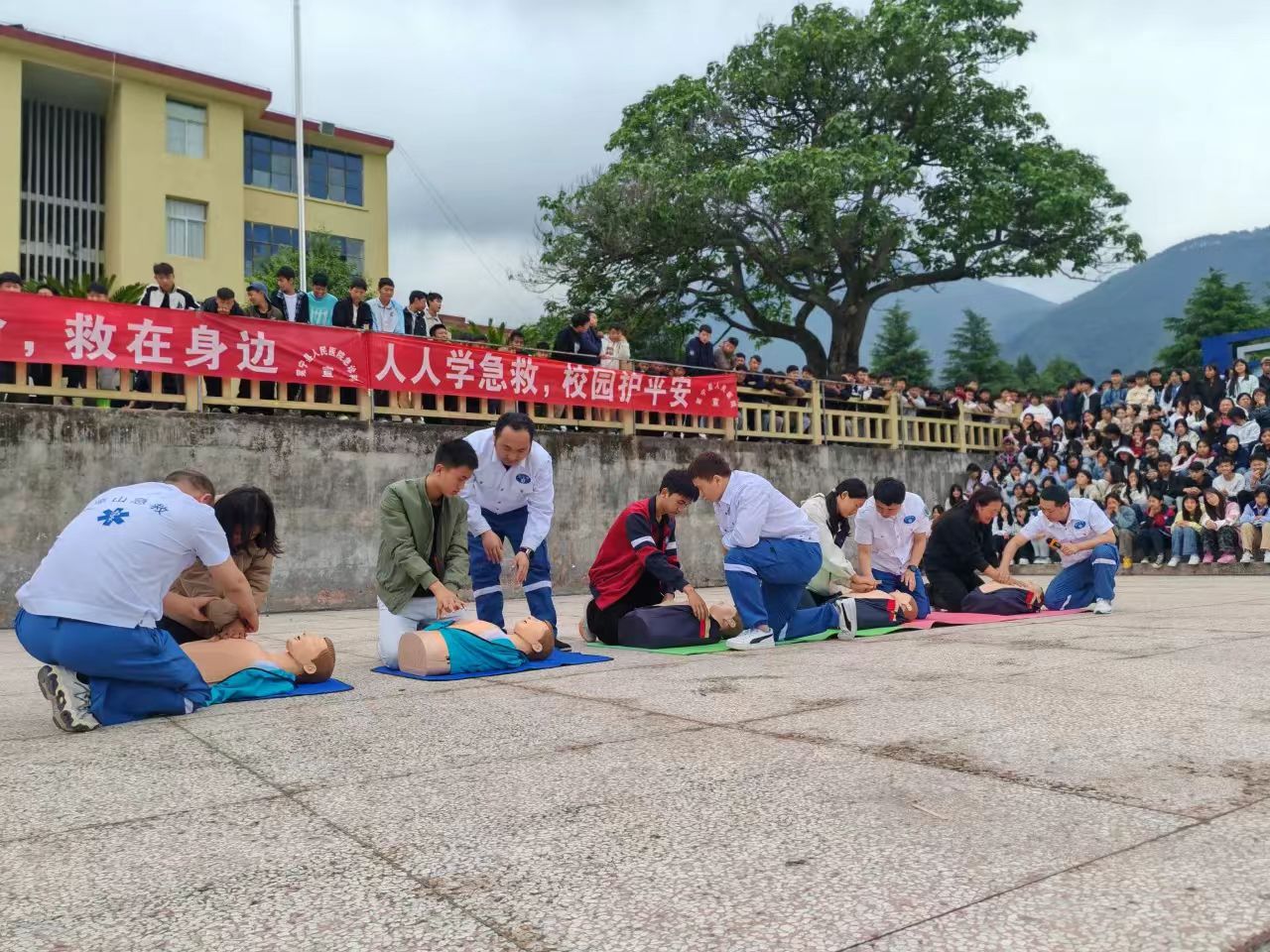 1749459206795959.jpg 微信图片_20250609165052.jpg