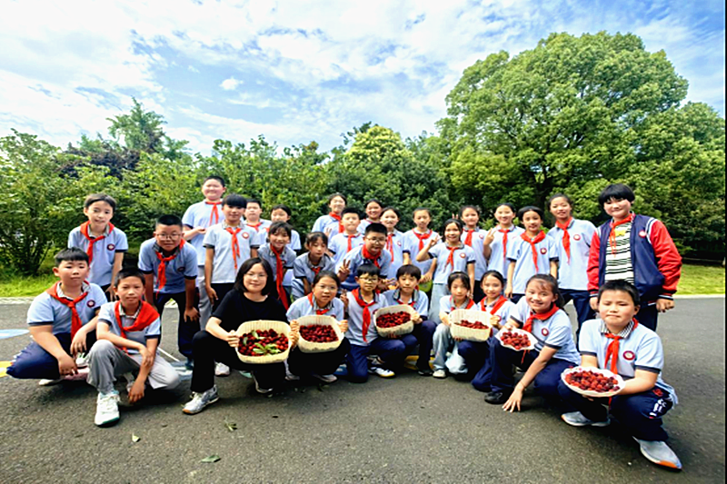 1749593472259663.png 江苏省南京市高淳区固城中心小学关工委组织开展校园杨梅采摘实践活动(3).png