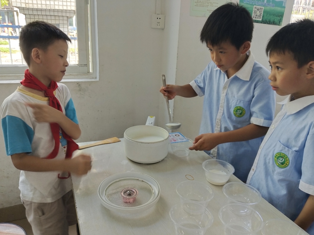 1750070548676929.jpg 2025年6月13日,广西柳州市鱼峰区白莲街道响水社区关工领导小组携手柳石路第四小开展“礼善文化润童心 双皮奶香传温情”双皮奶手工制作活动 (1).jpg