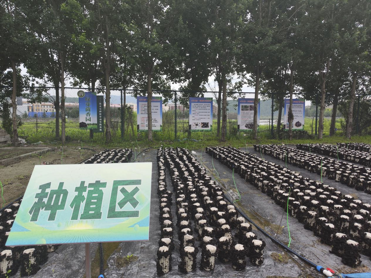 1750668793168193.jpg 图片1.jpg