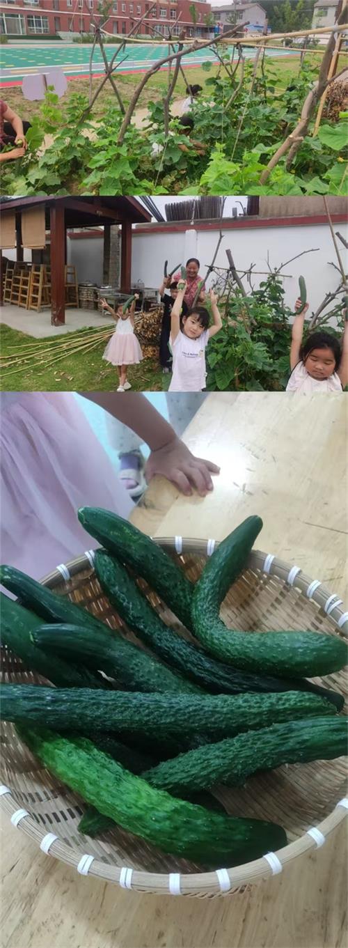 699e601b474e81b73f1fe381aa937cb6_看图王.jpg