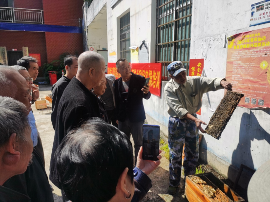 1750972337860983.png 图二:大石桥乡举行科学养蜜培训班.png