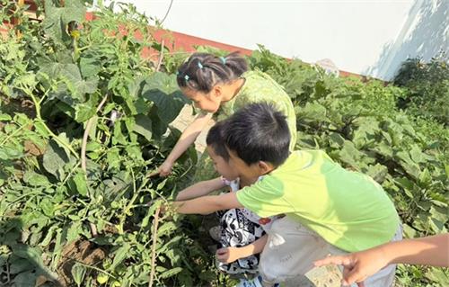 1750985775372578.jpg 692389706cb480f0910597d094ecbe27_看图王.jpg