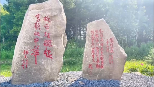 1751157481677401.jpg
