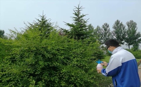 1751526694924171.jpg 微信图片_20250703150525.jpg