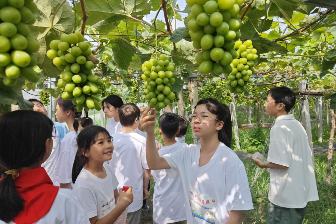 1752551237760843.png 微信图片_2025-07-15_114527_264.png