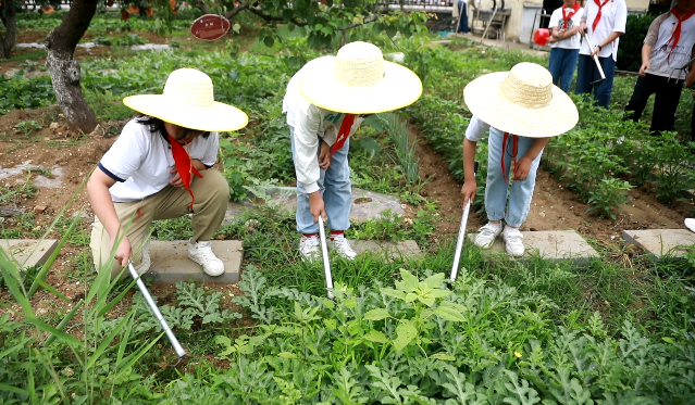 1752577561184417.png 图片1.png