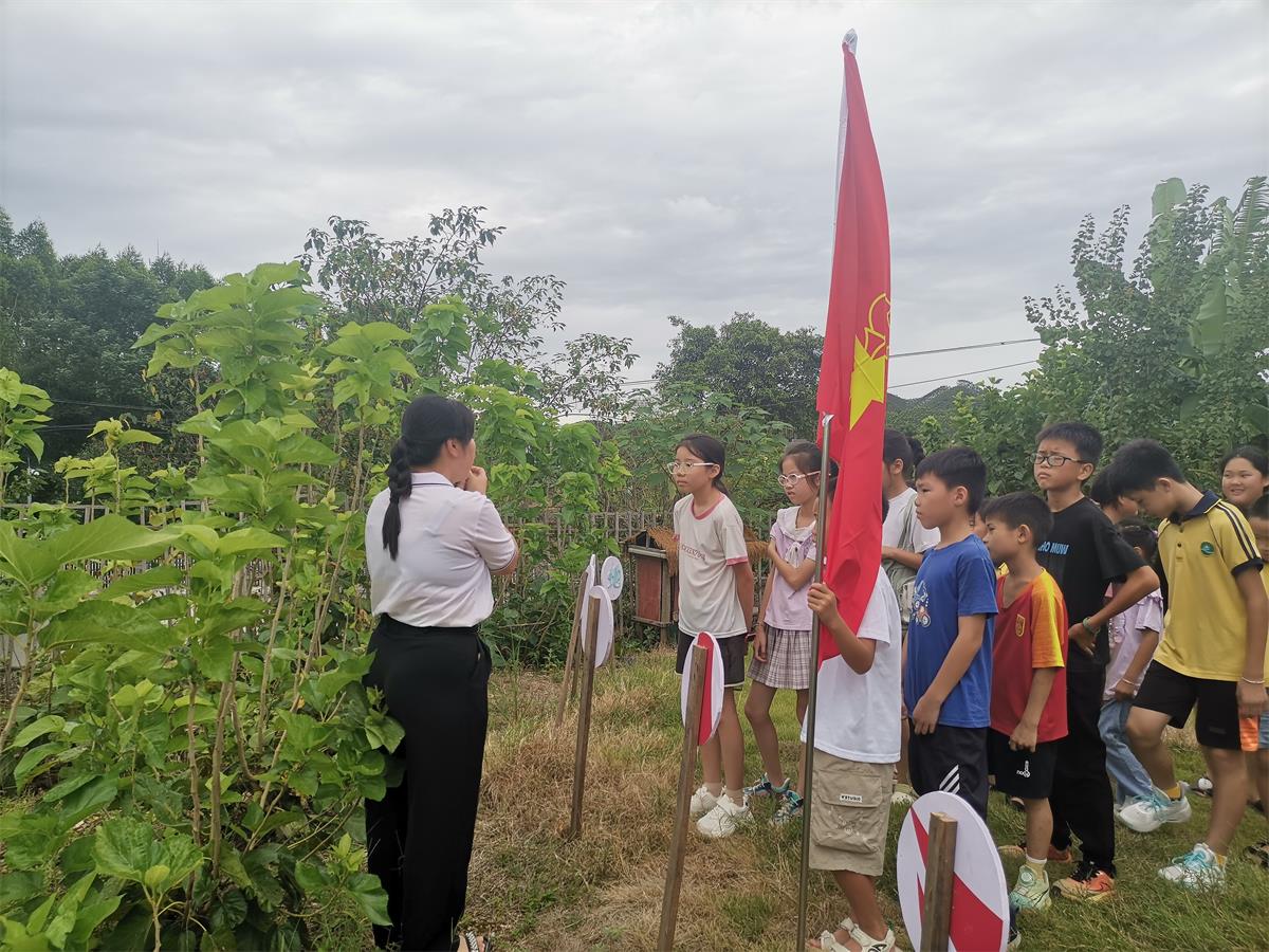 1753376723218284.jpg 鹿寨县黄冕镇青少年校外学习站开展桑蚕文化研学-2.jpg
