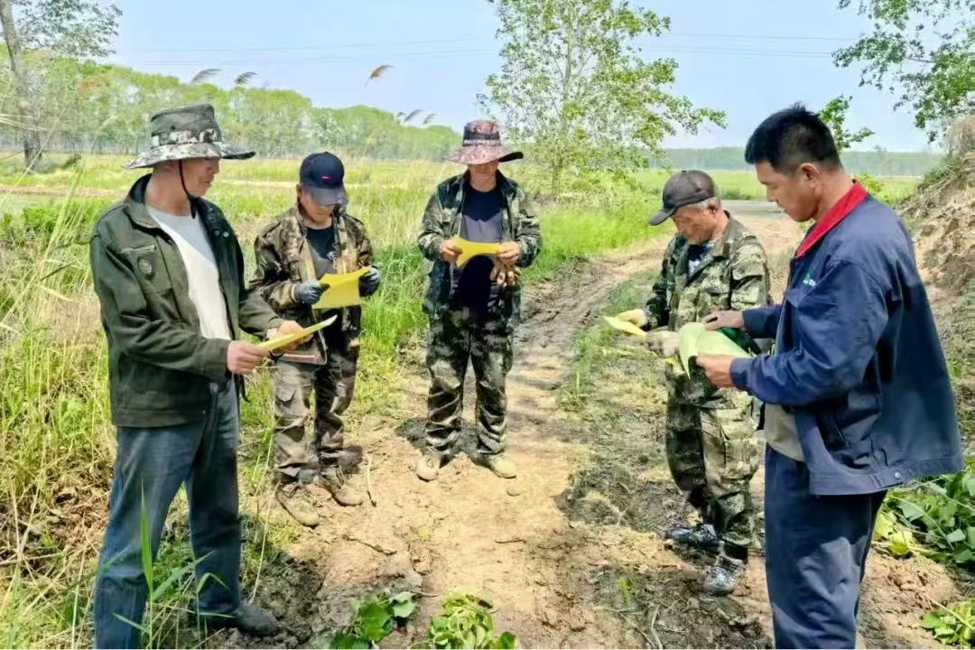 1753673774620658.jpg 普阳2 (1).jpg
