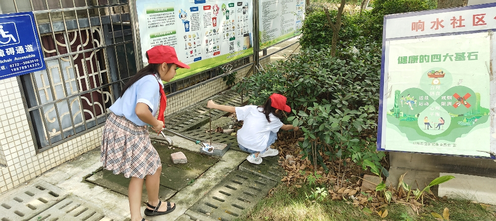 1753950944356638.jpg 2025年7月30日,广西柳州市鱼峰区白莲街道响水社区关工领导小组开展“小小志愿者送清凉,传递夏日温暖”活动 (2).jpg