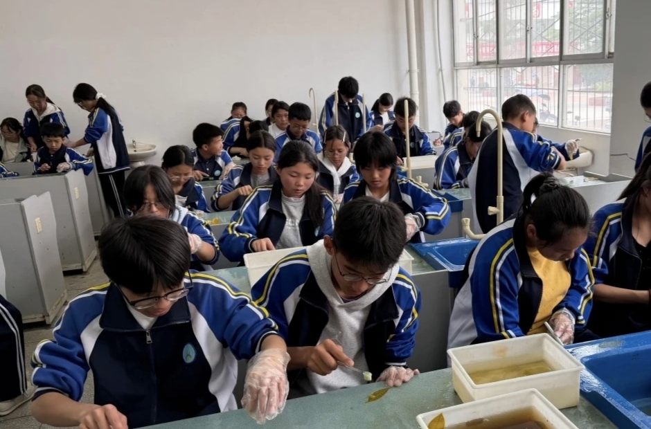 1782353543597225.jpg 微信图片_20260625101119.jpg