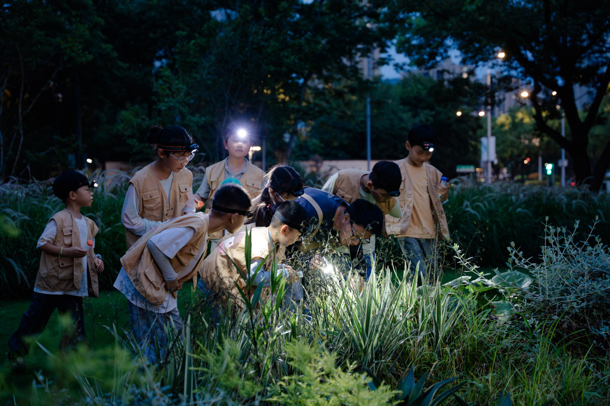 夏夜寻虫探秘境  自然课堂伴成长（2）.jpg