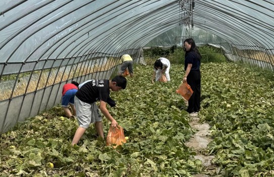 1783639952952080.jpg