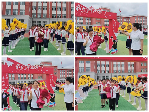 1784512814385833.jpg 图片18.jpg