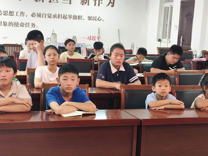 定城镇关工委开展公益课业辅导活动 (2).jpg
