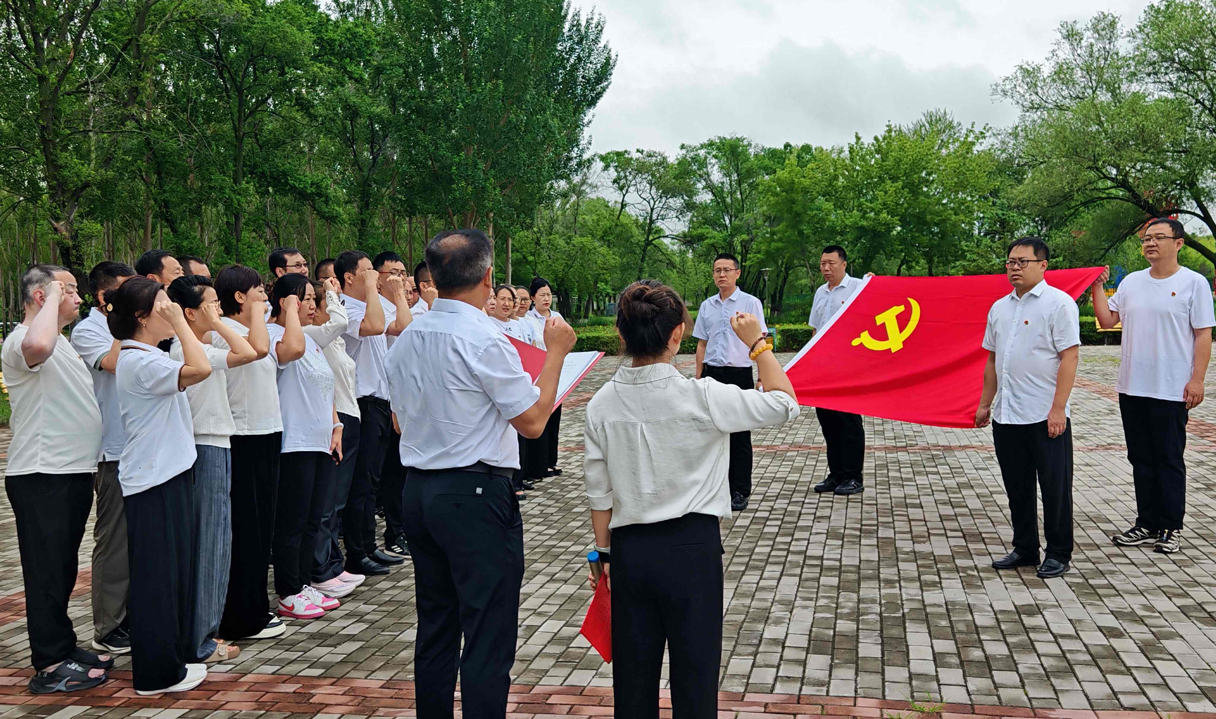 1784615905620232.jpg 重温入党誓词.jpg