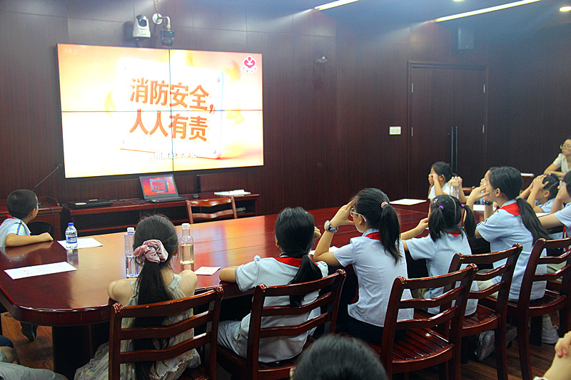 1786328407879961.jpg 玄武湖街道关工委联合开展青少年暑期安全教育宣讲活动(5).jpg