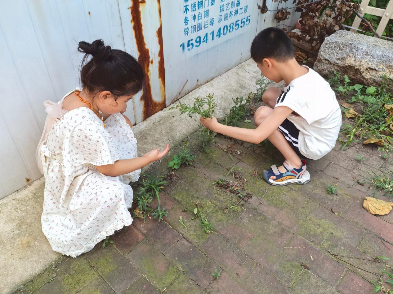 1786590132195218.png 图片1.png