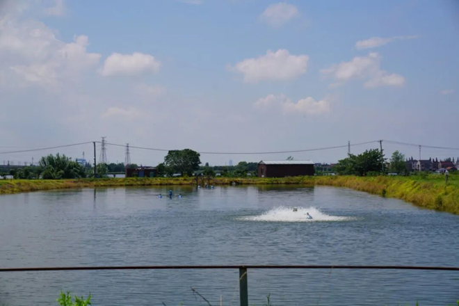 1786687918883916.jpg 七都韩桂铸5=.jpg
