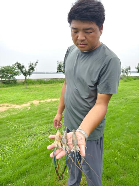 1786688002580655.jpg 钱留平1.jpg