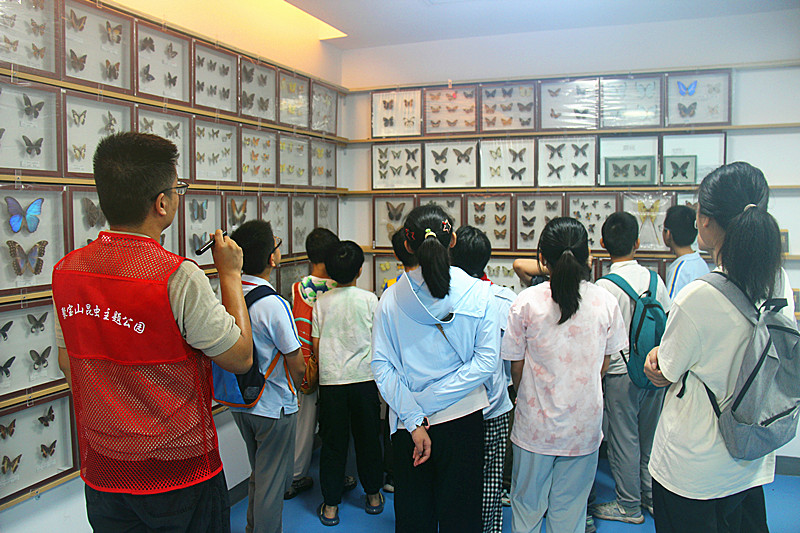1787537251313024.jpg 玄武湖街道关工委联合开展暑期科普实践夏令营活动(1).jpg