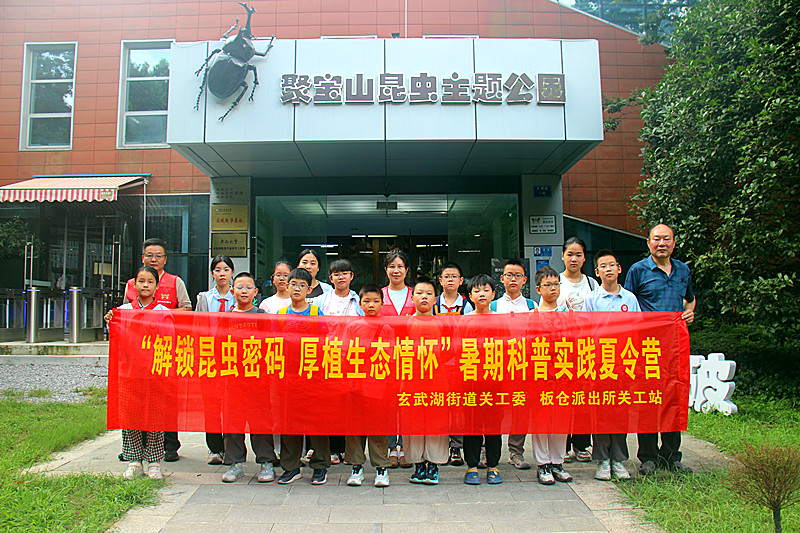 1787537324886314.jpg 玄武湖街道关工委联合开展暑期科普实践夏令营活动(6).jpg