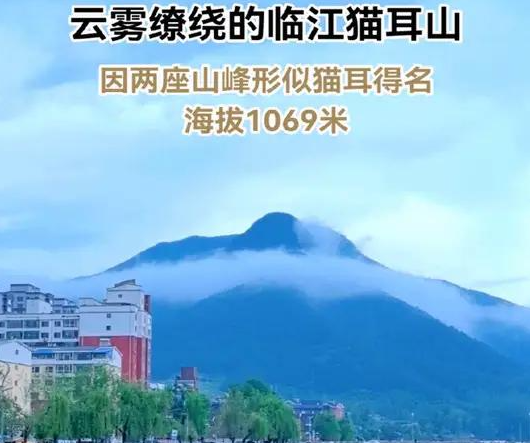 1787537863535979.png 34.png