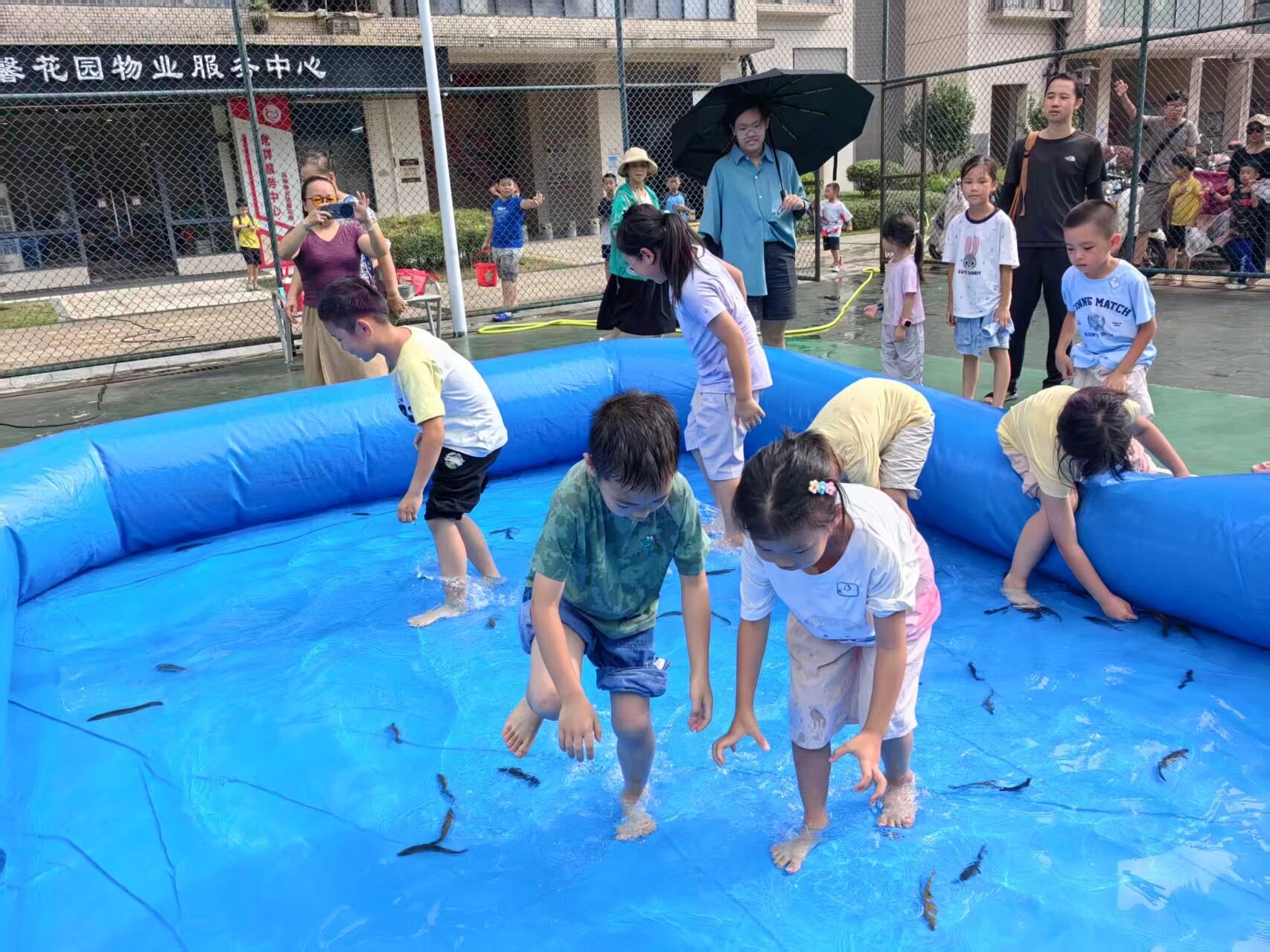1787785689255263.jpg 微信图片_2026-08-27_062030_508.jpg