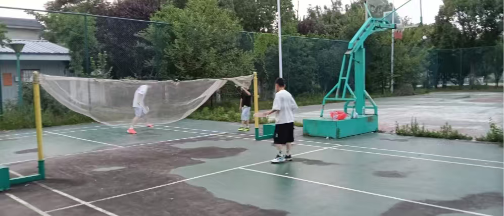 1788216908661979.jpg 1000015948.jpg