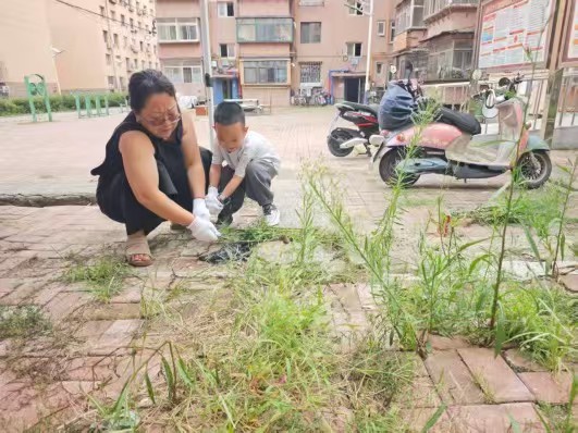 1788236090618751.jpg 微信图片_20260901121322_258_14.jpg
