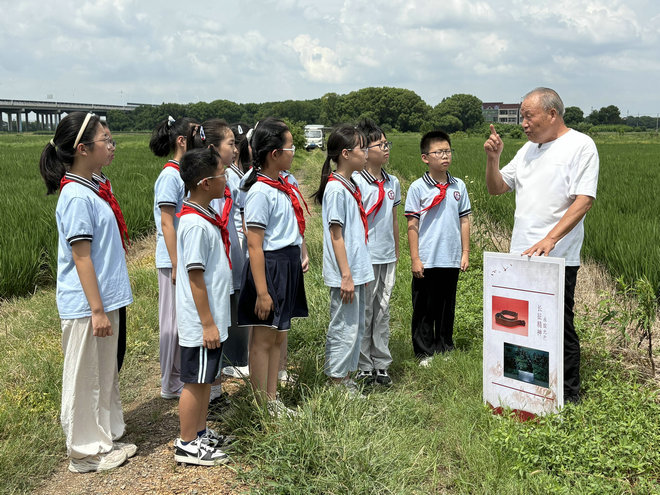 1788490245206330.jpg 桃源镇:田间地头听长征故事 红色基因润少年心田.jpg