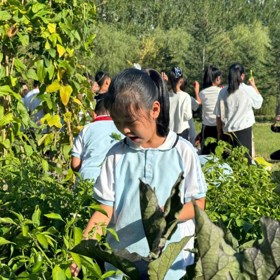 1788840976783349.jpg 微信图片_2026-09-08_092706_724.jpg